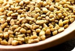 Fenugreek(Maithi Dana)