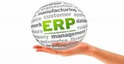 ERP Web Development