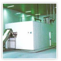 Straight Belt Individual Quick Freezer