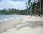 Corbyns Beach Package Tours