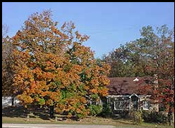 Legal Property Dealing Service