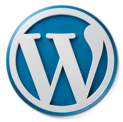Website Development Service