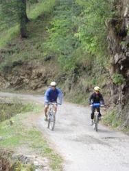 Biking Tours (Road)