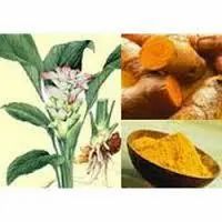 Turmeric Leaf Oil
