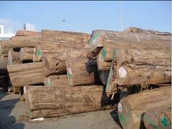 Burma Teak Round Logs