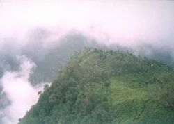 Kodaikanal Packages Tour