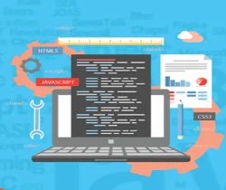 Website Development