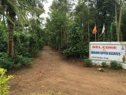 Coffee Estates