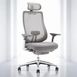 Executive Office Chair