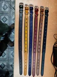 Leather Dog Collars