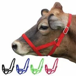 Cow Halter (Morkhi/Mohri/mohra) - Nylon Adjustable Head Collar for Cows, Buffaloes,Cattle