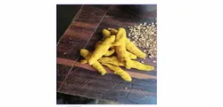 Double Polished Turmeric Finger