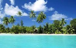 Paradise Beach Package Tours
