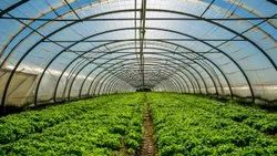 Agriculture Protection Shade Net