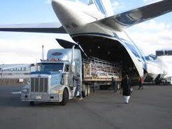 Cargo Service