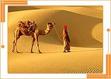 Colorful Rajasthan Tour
