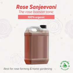 Rose Plant Booster Tonic