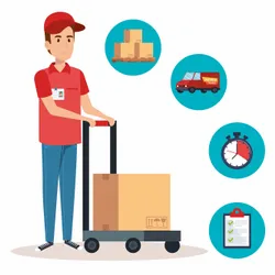 Domestic Courier Services