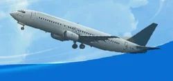 Domestic Courier