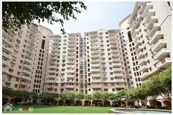 3 BHK Apartment for Sale in Wellington Estate