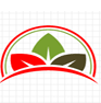 Flash Designing