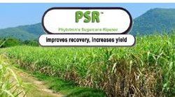 Slow Release Fertilizers