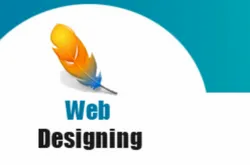 Dynamic Website Design Package Service