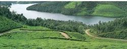Domestic Tour Package Services
