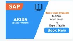 SAP ARIBA Online Training Course
