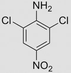 2,6 Dichloro Para Nitro Aniline Chemical