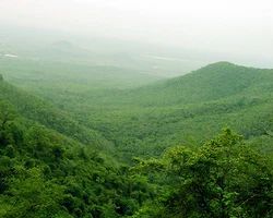 B. R. Hills Tour