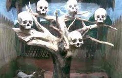 Assam State Museum Package Tours