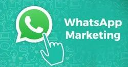 SMS/Whatsapp Marketing