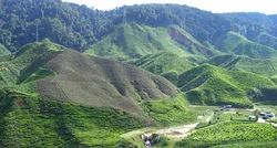 Coorg Family Tour Package