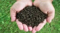 Bio Fertilizers