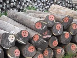 Burma Teak Wood Logs