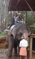 Honeymoon Packages