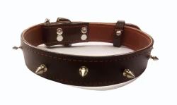 Leather Dog Collars