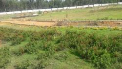 Vijayapura  Property Dealers