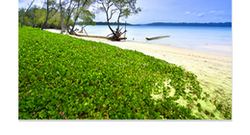 Andaman Delight Premium Package