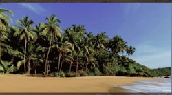 Goa Tour Packages Service