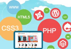 E Commerce Websites
