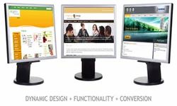 Dynamic Website Designing Services