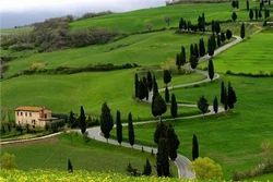 Doddabetta Peak Tour Package