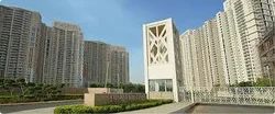 Apartment Leasing Service