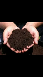Vermicompost Organic Fertilizer