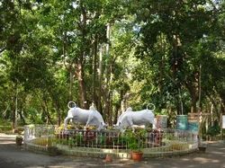 Botanical Garden Tour Package
