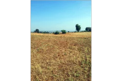 Ambiste Village Taluka Wada Real Estate Plot