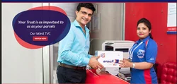 Domestic Courier Service
