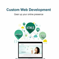 Customized Web Software Development Service